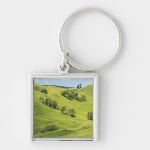Farmland near Gisborne, New Zealand Key Ring
