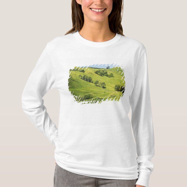Farmland near Gisborne, New Zealand T-Shirt (Front)