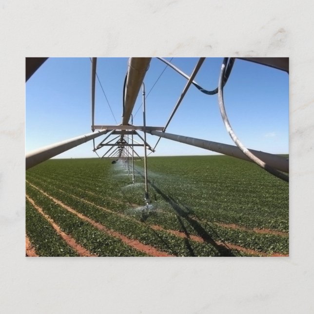 Farmland Postcard (Front)