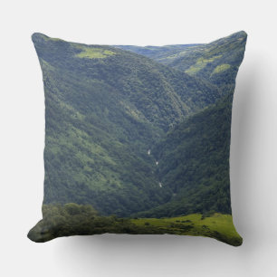Farmlands and Himalaya forest in Mangdue valley Cushion
