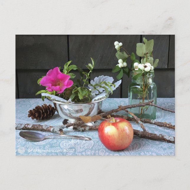 FARMphemera.com "Antiques & Wild Rose" postcard (Front)