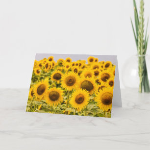 Farms   A Sunflower Field Card