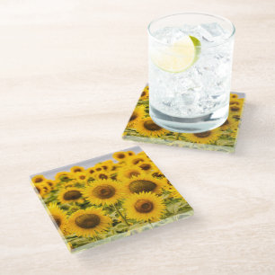 Farms   A Sunflower Field Glass Coaster
