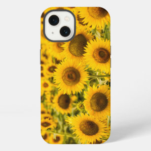 Farms A Sunflower Field iPhone 13 Case