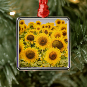 Farms A Sunflower Field Metal Tree Decoration