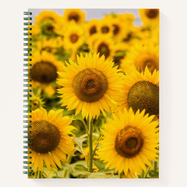 Farms | A Sunflower Field Notebook (Front)