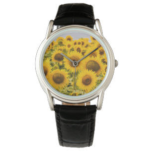 Farms   A Sunflower Field Watch