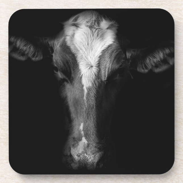Farms | B&W Cow Head Shot Coaster (Front)