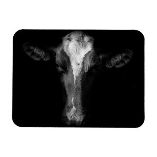 Farms   B&W Cow Head Shot Magnet