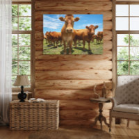 Farms | Brown Cow Group