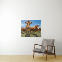 Farms | Brown Cow Group