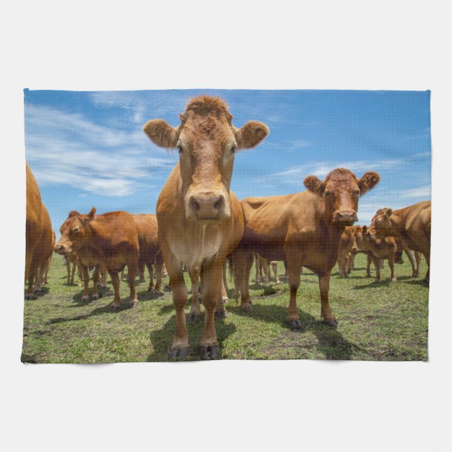 Farms | Brown Cow Group Tea Towel (Horizontal)