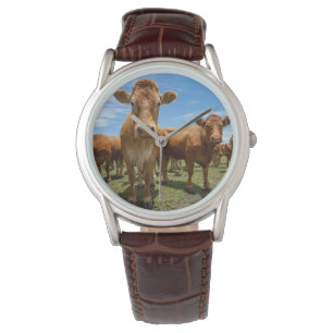 Farms Brown Cow Group Watch