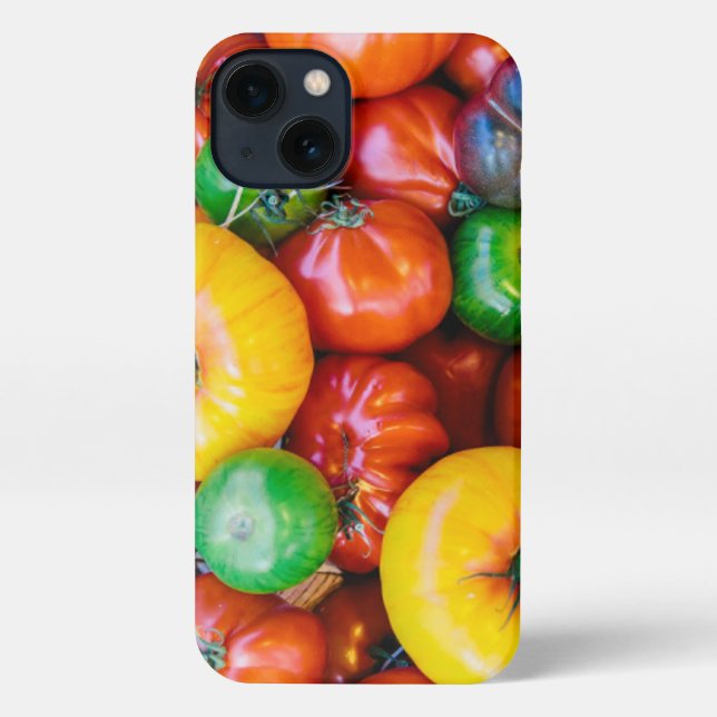Farms | Colourful Tomato Harvest iPhone Case (Back)