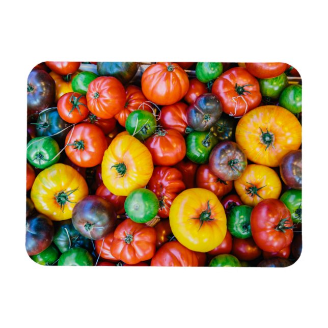 Farms | Colourful Tomato Harvest Magnet (Horizontal)