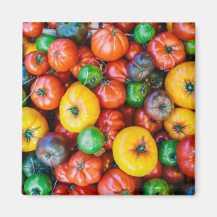 Farms Colourful Tomato Harvest Magnet