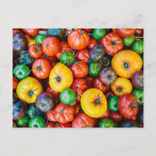 Farms Colourful Tomato Harvest Postcard
