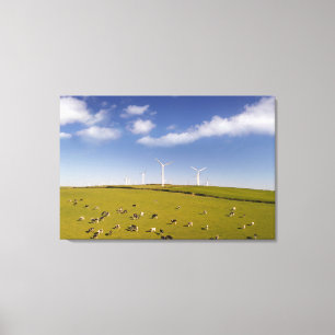 Farms   Cows Near Windmill Farm Canvas Print