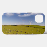 Farms | Cows Near Windmill Farm