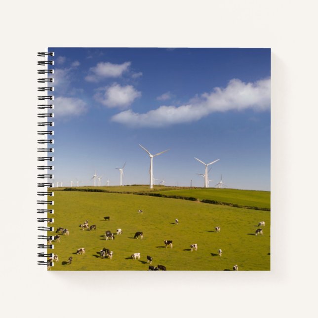 Farms | Cows Near Windmill Farm Notebook (Front)