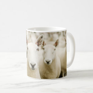 Farms Herd of Sheep Coffee Mug