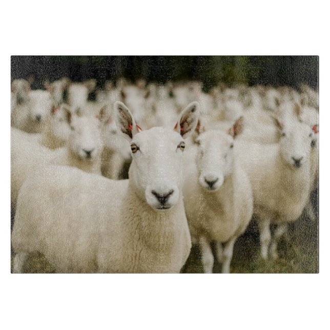 Farms | Herd of Sheep Cutting Board (Front)
