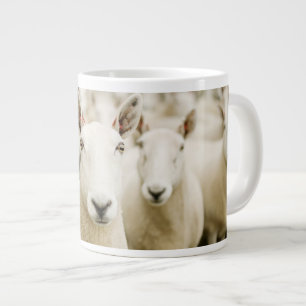 Farms Herd of Sheep Large Coffee Mug