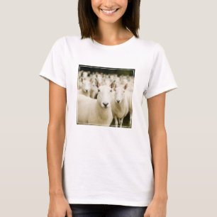 Farms   Herd of Sheep T-Shirt