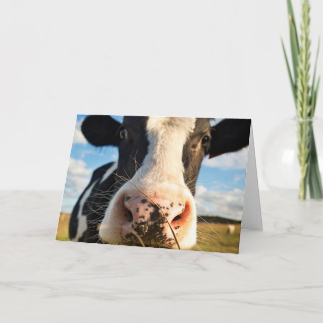 Farms | Holstein Cow Chewing Card (Front)