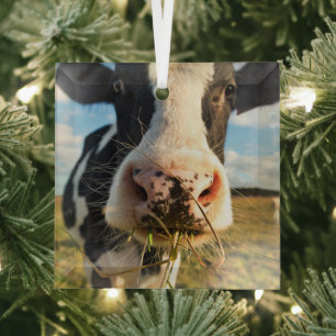 Farms Holstein Cow Chewing Glass Tree Decoration