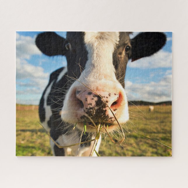 Farms | Holstein Cow Chewing Jigsaw Puzzle (Horizontal)