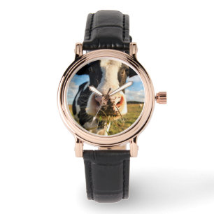 Farms Holstein Cow Chewing Watch