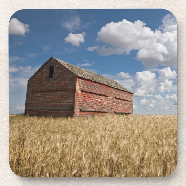 Farms | Old Red Barn in Wheat Field Coaster (Front)