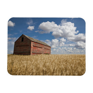 Farms Old Red Barn in Wheat Field Magnet