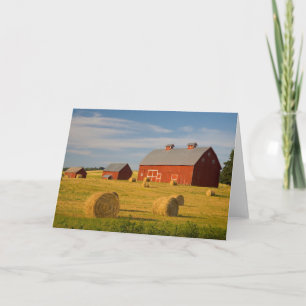 Farms Red Barns Near Hay Bales Card