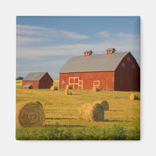 Farms Red Barns Near Hay Bales Magnet
