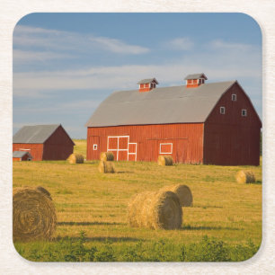 Farms Red Barns Near Hay Bales Square Paper Coaster