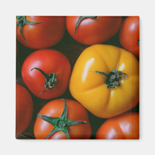 Farms   Shiny Red & Yellow Tomatoes Magnet