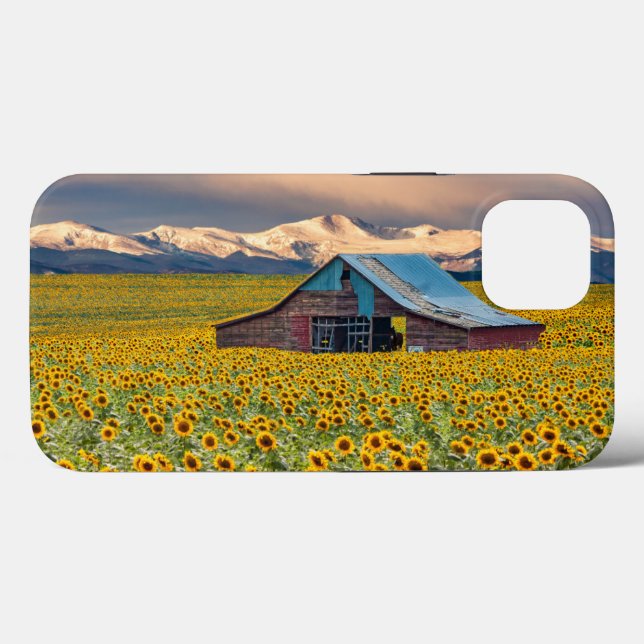 Farms | Sunflower Field Case-Mate iPhone Case (Back (Horizontal))
