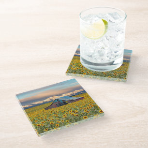 Farms Sunflower Field Glass Coaster