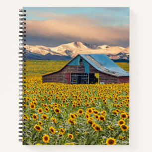 Farms   Sunflower Field Notebook