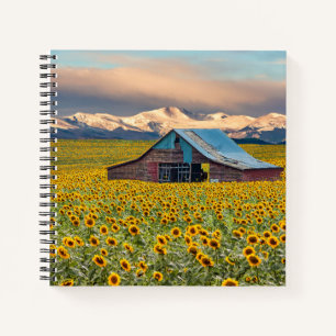 Farms Sunflower Field Notebook