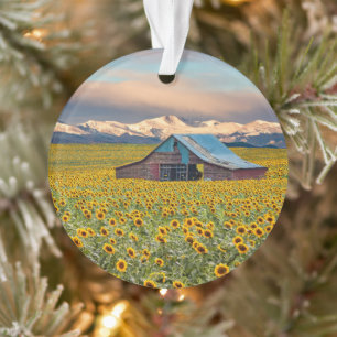 Farms Sunflower Field Ornament