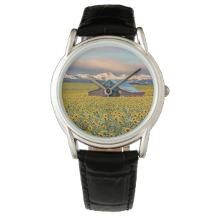 Farms   Sunflower Field Watch