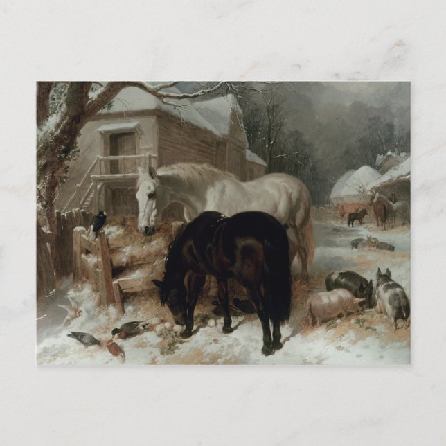 Farmyard Scene Postcard (Front)