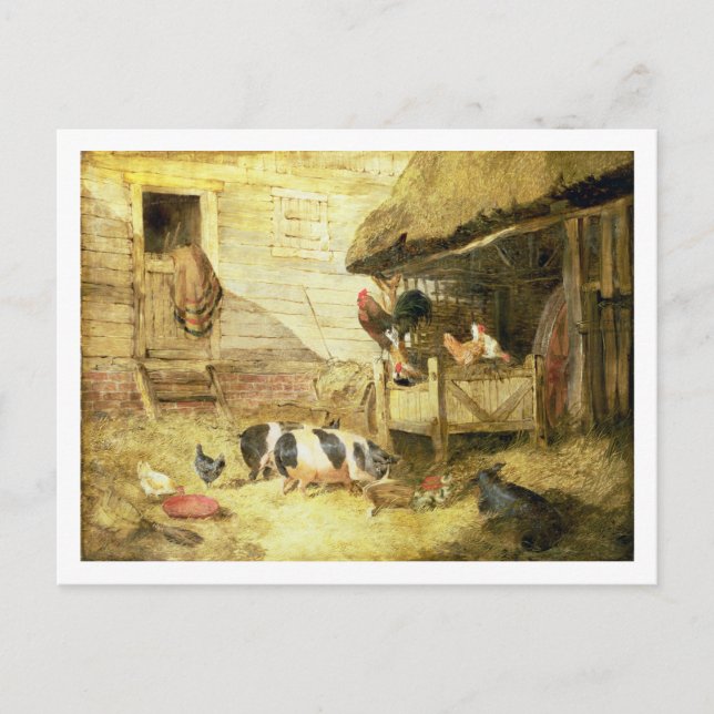 Farmyard Scene Postcard (Front)