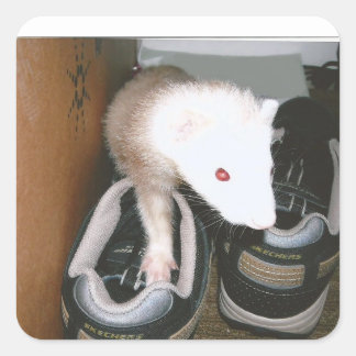 Farret and the shose square sticker