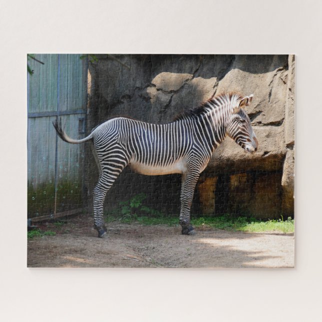 Farting Zebra Jigsaw Puzzle (Horizontal)