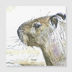fascinating altered animals - Capybara