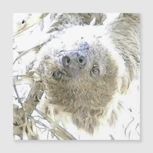 fascinating altered animals - Sloth